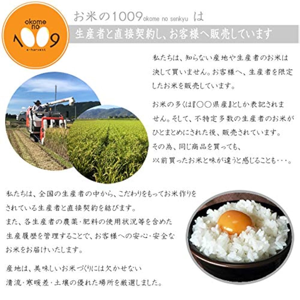 令和七年度の 滋賀産新米コシヒカリ30キロ 楽天市場】新米 滋賀県近江八幡産 コシヒカリ 玄米 令和7年産